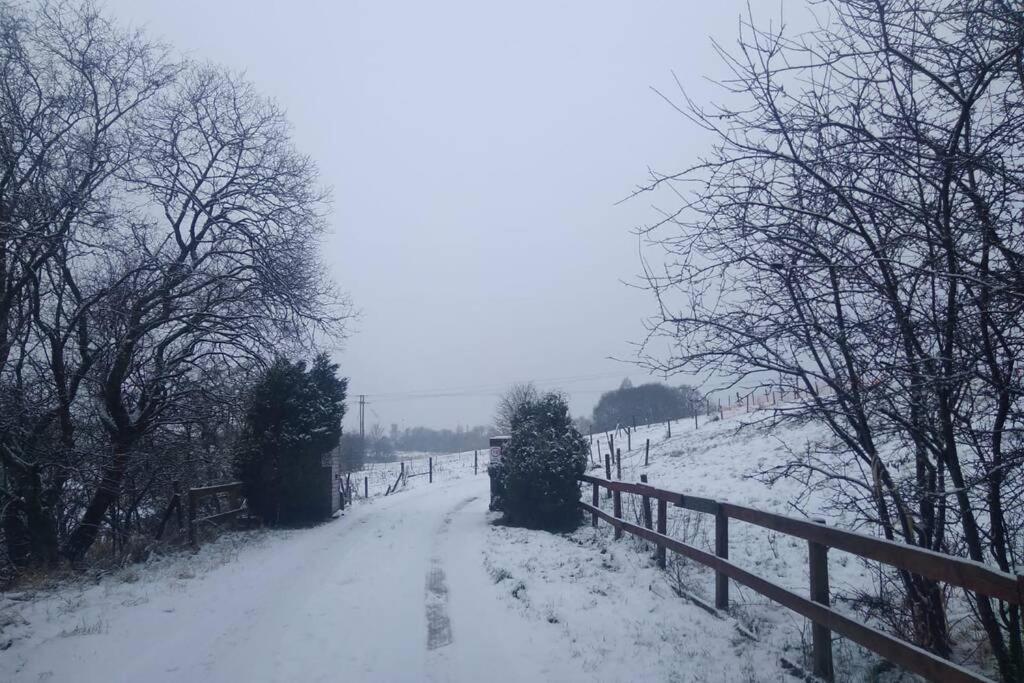 The Cottage - Hot Tub - Nr Glasgow - Self Check-In 코트브리지 외부 사진